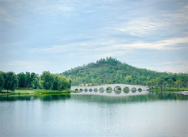 1736732421617323.png 雙子山.png